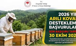 Zonguldak’taki Arıcıların Dikkatine…