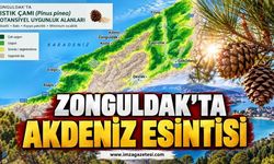 Zonguldak'ta Akdeniz Esintisi