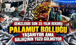 Denizlerde Son 35 Yılın Rekoru: Palamut Bolluğu Yaşanıyor Ama Balıkçının Yüzü Gülmüyor