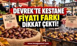 Devrek'te kestane fiyatı farkı dikkat çekti