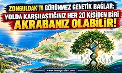 Zonguldak'ta Görünmez Genetik Bağlar: Yolda Karşılaştığınız Her 20 Kişiden Biri Akrabanız Olabilir