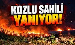 Zonguldak Kozlu Sahilinde Yangın Paniği! İtfaiye Ekipleri Seferber Oldu