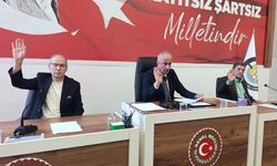 Mecliste Tarihi ve Kritik Kararlar: Sazköy Jandarma Kule Yolu Resmi Yol Ağına Alındı