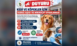 Kuduz Aşısı Ve Mikroçip Fiyatları Açıklandı…