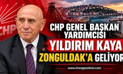 Cumhuriyet Halk Partisi'nden Zonguldak'ta Kritik Ziyaret Serisi