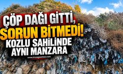 Çöp Dağı Gitti, Sorun Bitmedi. Kozlu Sahilinde Aynı Manzara