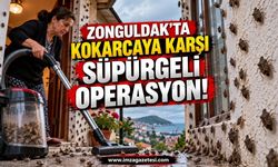 Zonguldak'ta Kokarcaya Karşı Süpürgeli Operasyon