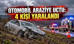 Zonguldak'ta Otomobil Araziye Uçtu: 4 Kişi Yaralandı