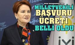 İyi Parti'de Adaylık İçin Başvuru Ücreti Belli Oldu...