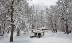 Göktepe Yaylası Göz Kamaştırıyor!