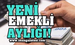 Emeklilere Müjde! Mecliste Onaylandı...