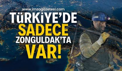 Türkiye'de sadece Zonguldak'ta var...