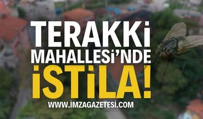 Zonguldak Terakki Mahallesi'nde İstila! | Zonguldak haber