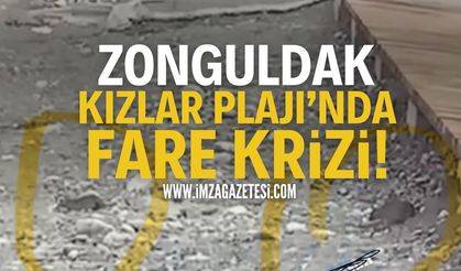 Zonguldak Kızlar Plajı’nda Fare Krizi!