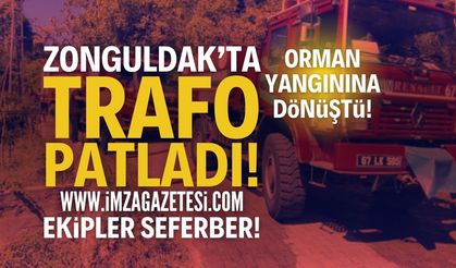 Zonguldak Alaplı'da Trafo Patlaması Yangına Neden Oldu!