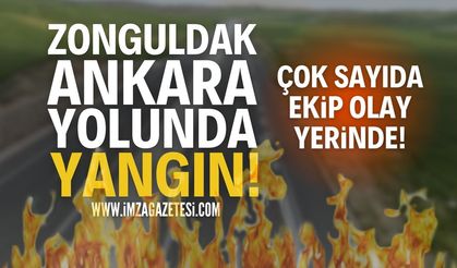 Zonguldak-Ankara Yolunda Yangın!