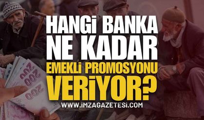 Hangi Banka Ne Kadar Emekli Promosyonu Veriyor?