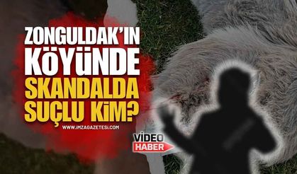 Zonguldak'ın Köyünde Yaşanan Skandalda Suçlu Kim?