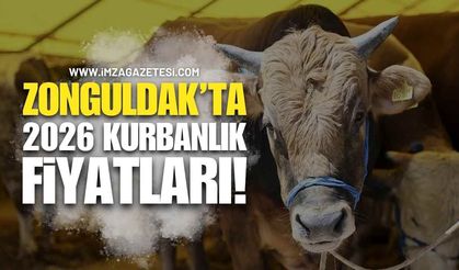Zonguldak’ta 2026 Kurbanlık Fiyatları!