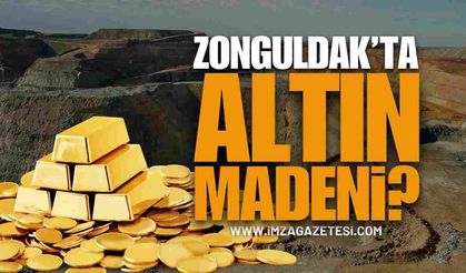 Zonguldak’ta Altın Madeni Var Mı?