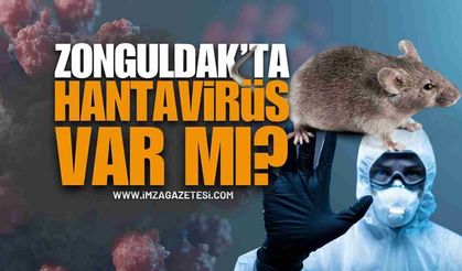 Zonguldak’ta Hantavirüs Paniği: Vatandaşlar Tedirgin!