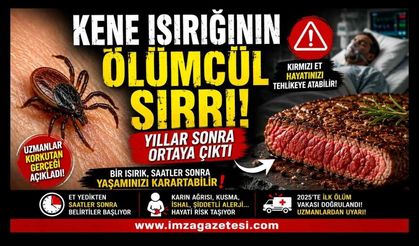 Kene Isırığının Ölümcül Sırrı! Yıllar Sonra Ortaya Çıktı!