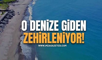 O Bölge Vatandaşa Plajları Zehir Etti!