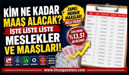 Kim Ne Kadar Maaş Alacak? İşte Liste Liste Meslekler ve Maaşları!