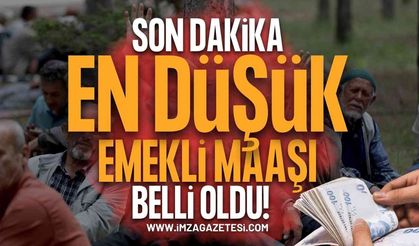 SON DAKİKA: En Düşük Emekli Maaşı Belli Oldu! TBMM Komisyonu'ndan Onay Çıktı