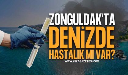 Zonguldak'ta Denizde Hastalık mı Var?