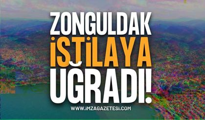 Zonguldak’ta Dev Çekirge Paniği: İstilaya Mı Dönüşüyor? Bakanlıktan Açıklama Geldi!