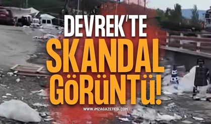 Devrek'te Skandal Görüntü: Bunu Yapanlar İnsan Olamaz!