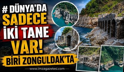 Dünya’da sadece iki tane var! Biri Zonguldak’ta