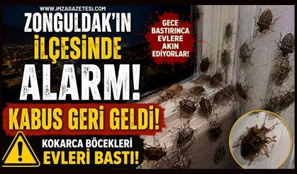 Zonguldak'ın ilçesinde Alarmı! Kabus geri geldi!