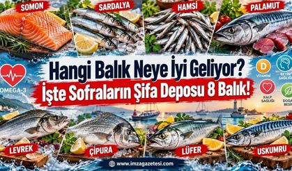 Hangi Balık Neye İyi Geliyor? İşte Sofraların Şifa Deposu 8 Balık!