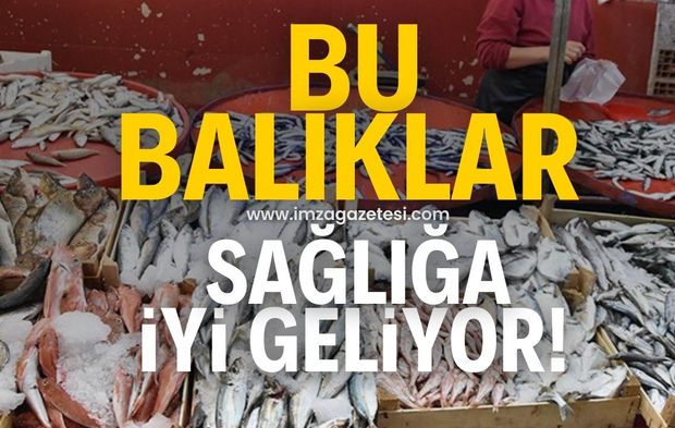 Bu balıkları tüketmek sağlığınıza iyi geliyor!