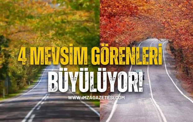 Karabük-Bartın Arasındaki Ağaç Tünelleri Görenleri Büyülüyor...