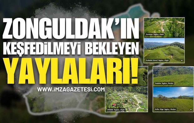 Zonguldak’ın Keşfedilmeyi Bekleyen Yaylaları!