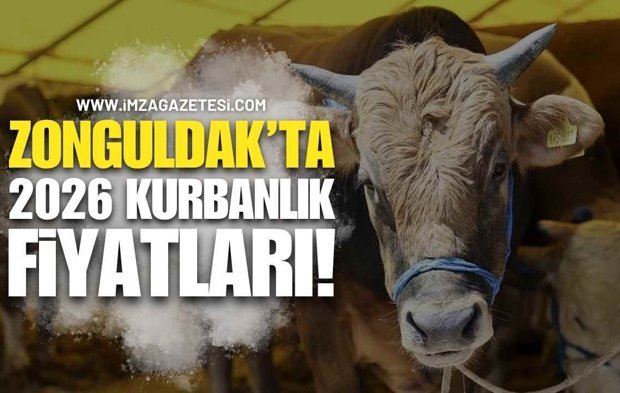 Zonguldak’ta 2026 Kurbanlık Fiyatları!