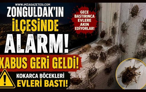 Zonguldak'ın ilçesinde Alarmı! Kabus geri geldi!