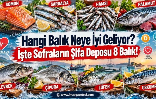 Hangi Balık Neye İyi Geliyor? İşte Sofraların Şifa Deposu 8 Balık!