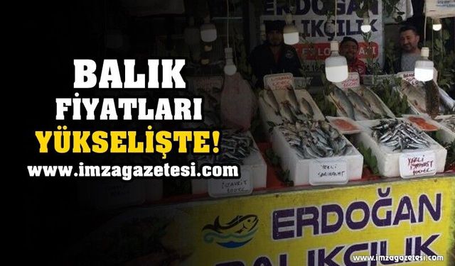 Balık Fiyatları Yükselişte!