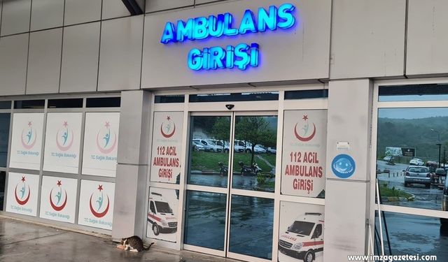 Çıktığı Samanlıktan Düştü!