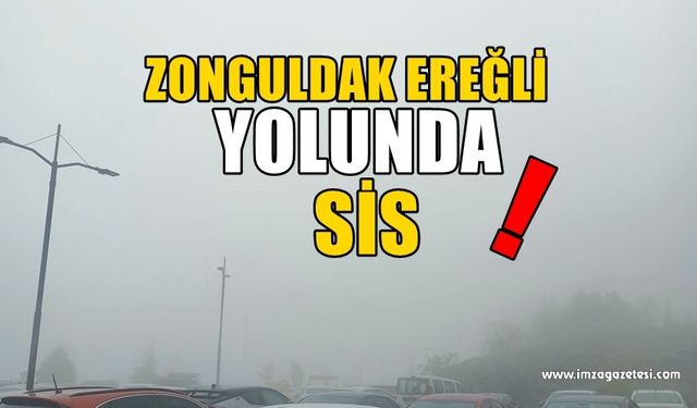 Zonguldak-Ereğli Yolunu Sis ve Yoğun Yağış Kapattı!