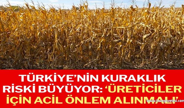 Türkiye’nin kuraklık riski büyüyor: ‘Üreticiler için acil önlem alınmalı’