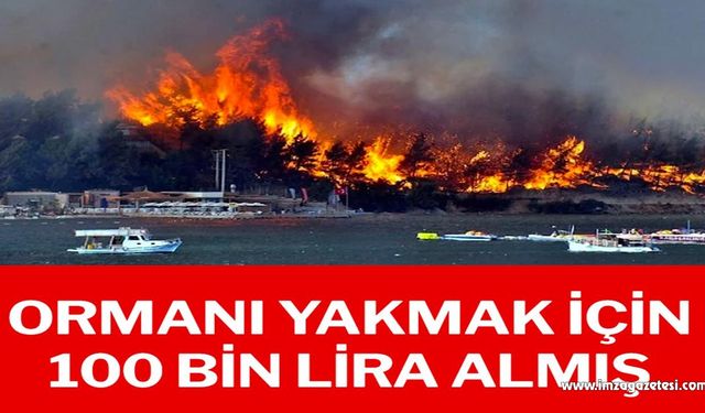 Bodrum’daki yangının faili ormanı 100 bin TL’ye yakmış…