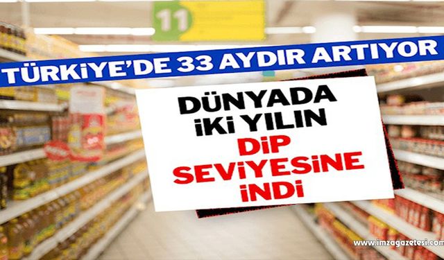 Gıda fiyatları dünyada iki yılın dip seviyesine indi, Türkiye’de 33 aydır artıyor…