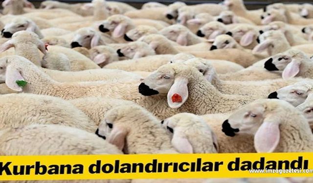 Kurbana dolandırıcılar dadandı!..