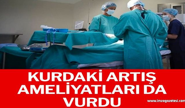 Kurdaki artış ameliyatları da vurdu!..