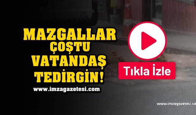 Mazgallar Çoştu!